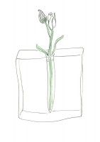 http://www.francesleeceramics.com/files/gimgs/th-10_small home flowers 2_v2.jpg